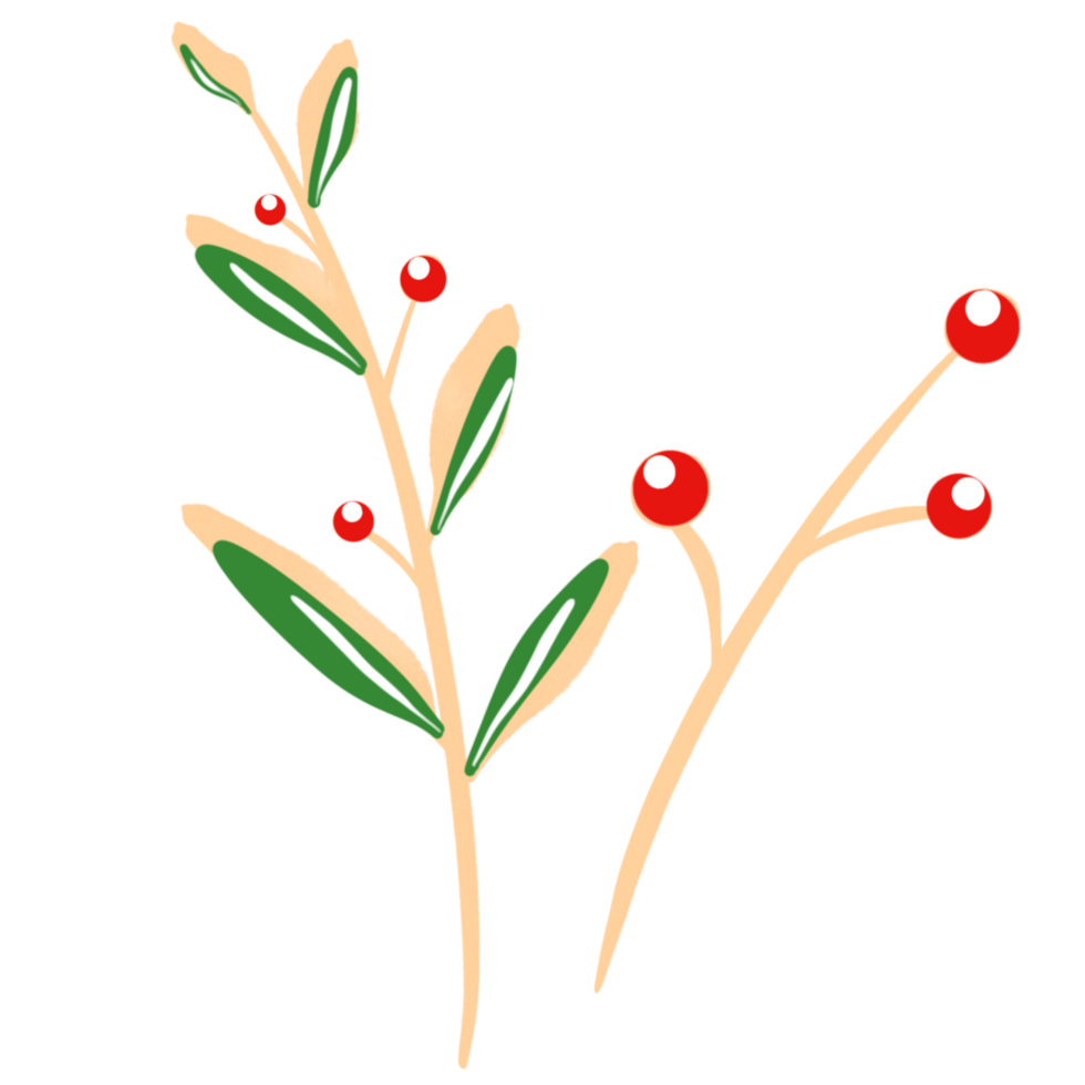 Christmas plants with red berries and green leaves png