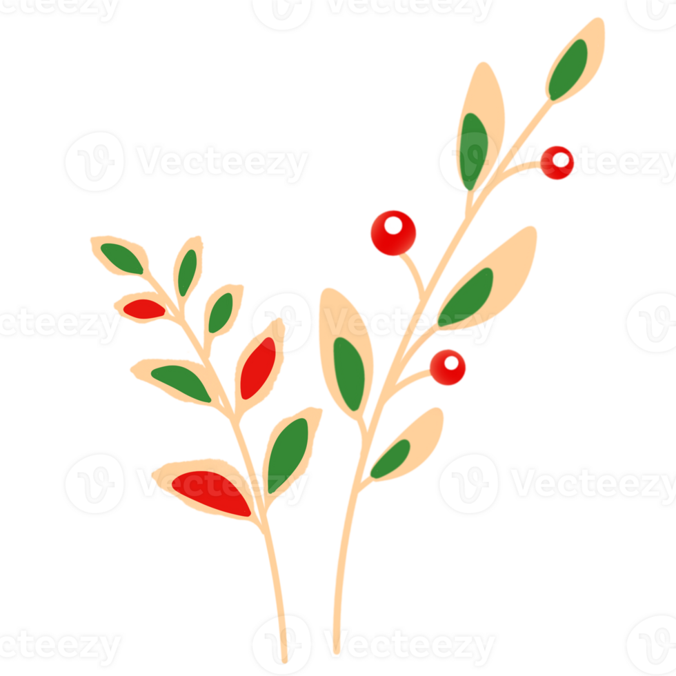 Christmas leaves with red berries png