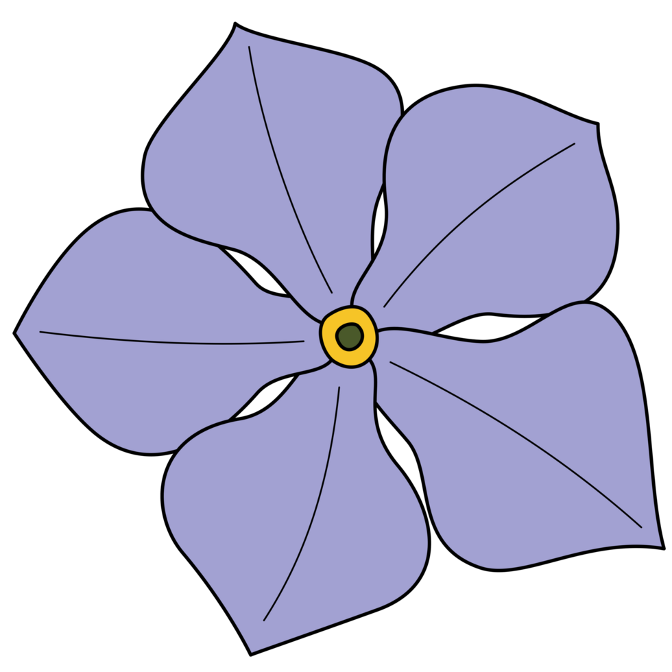Catharanthus roseus hand-drawing style with transparent background in a wild flower concept, illustration png
