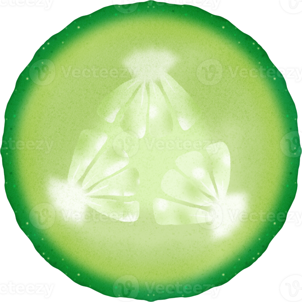 Little Cucumber Slice png
