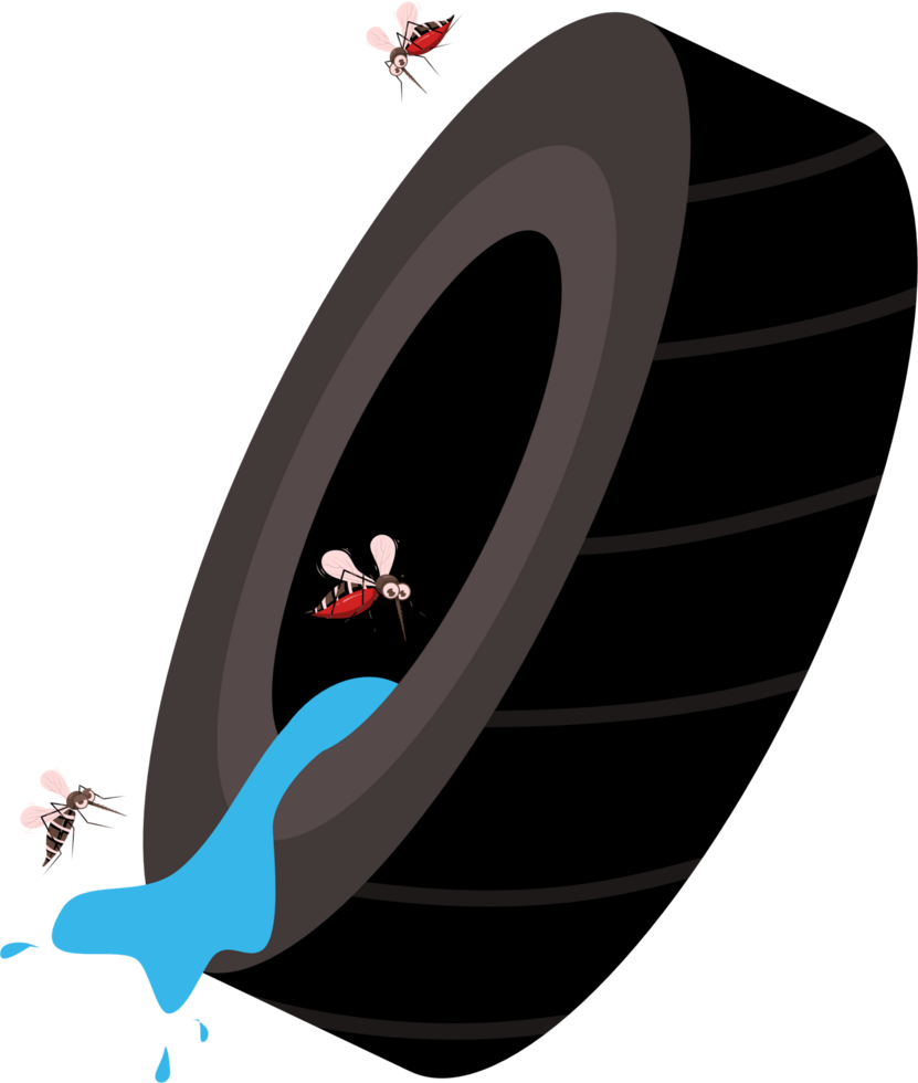 Mosquito living in waterlogged tire illustration png