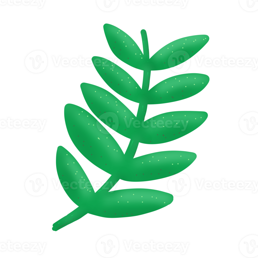 Green leaves illustration png