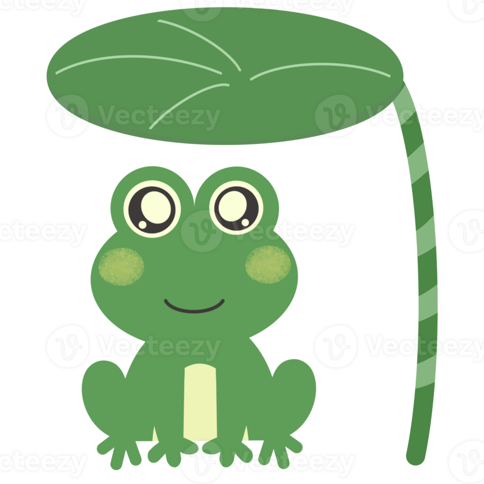 Frogs, zoo, animals, cartoon png