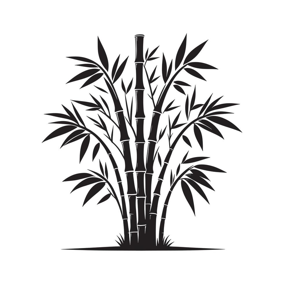 Black Silhouette of Bamboo Plant on White Background vector