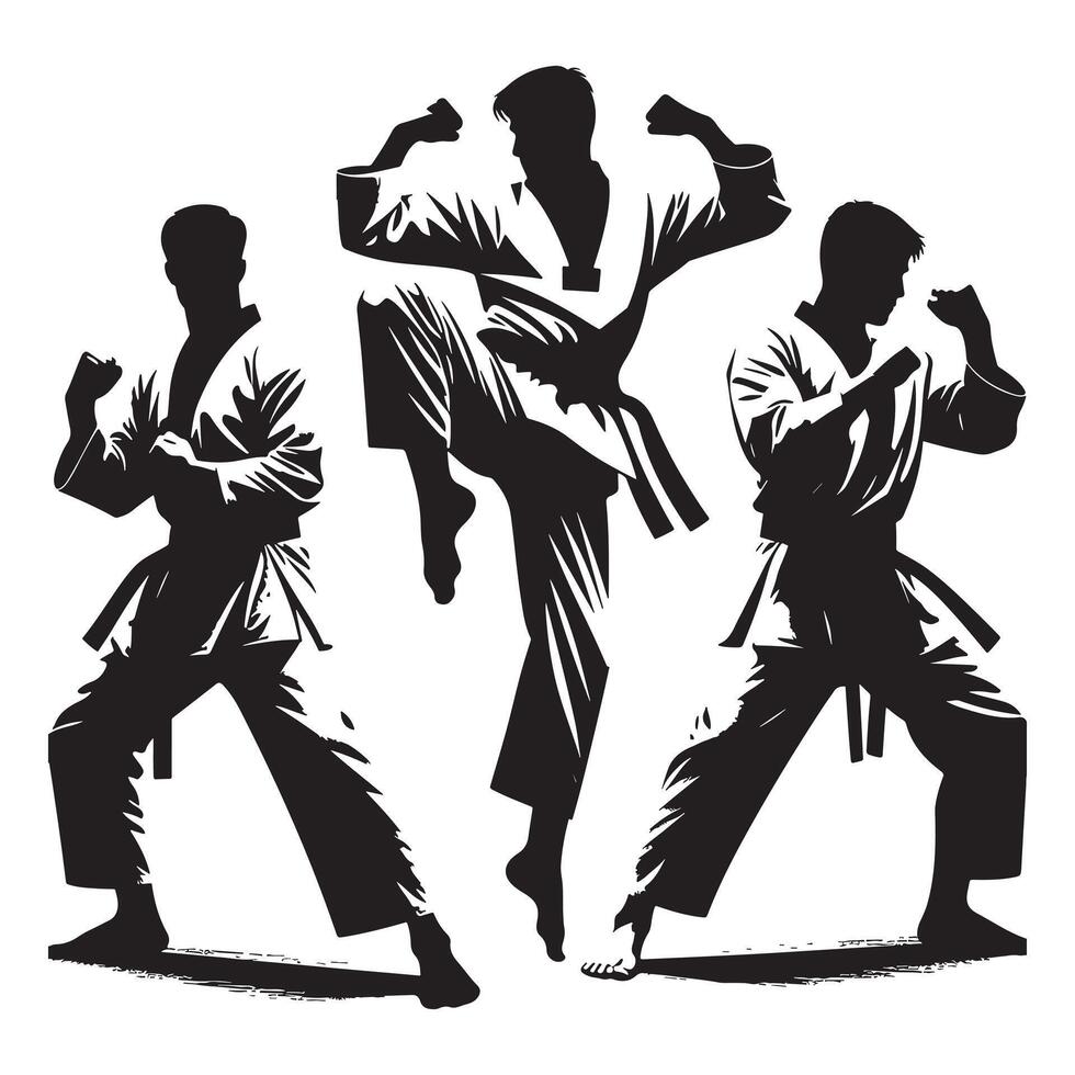 Taekwondo Fighter Silhouette on White Background vector