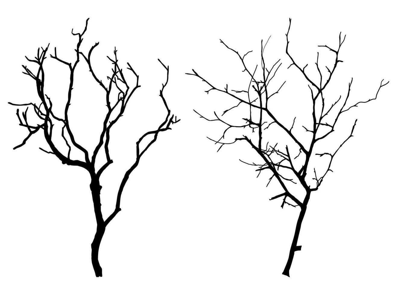 Black Branch Tree or Naked trees silhouettes set. Hand drawn isolated illustrations. vector