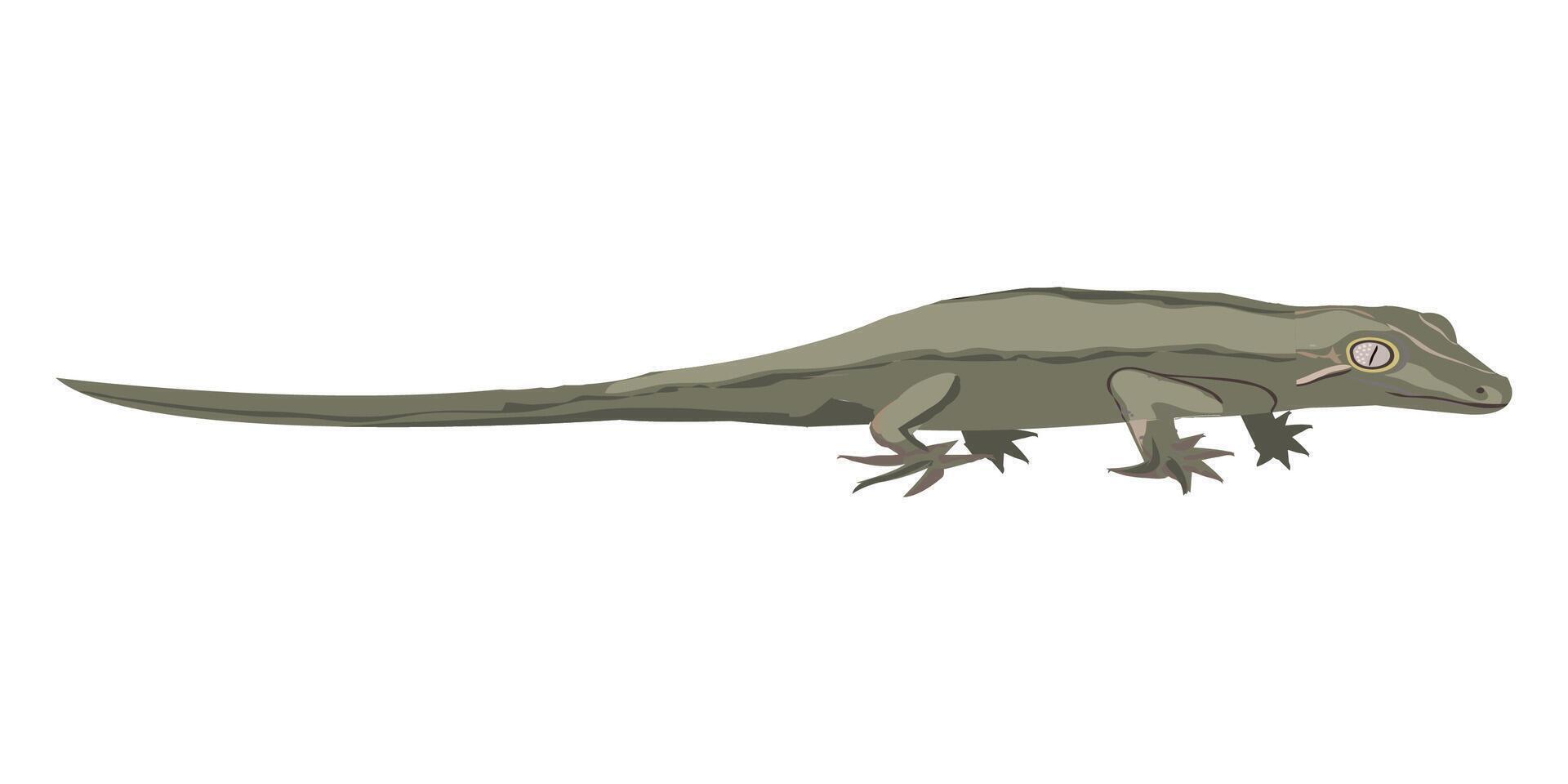 garogyle gecko illustration vector