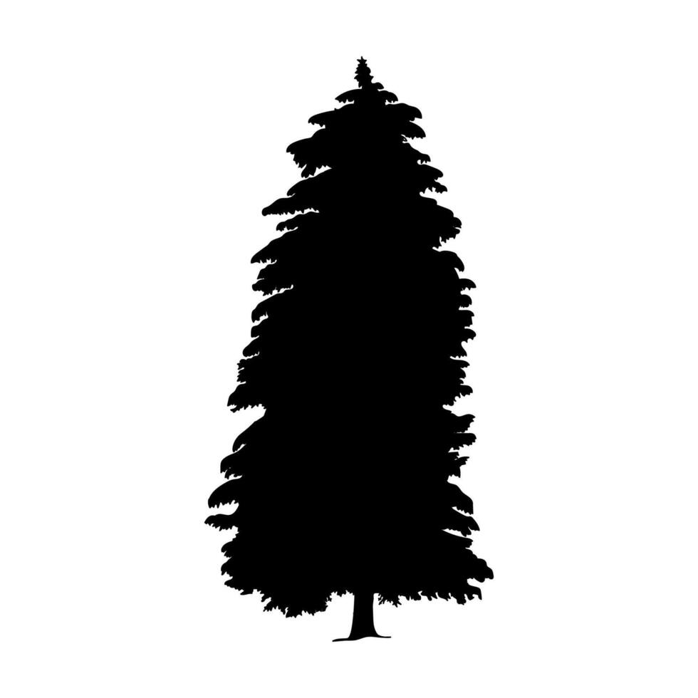 The black silhouette of a tall blue spruce. vector