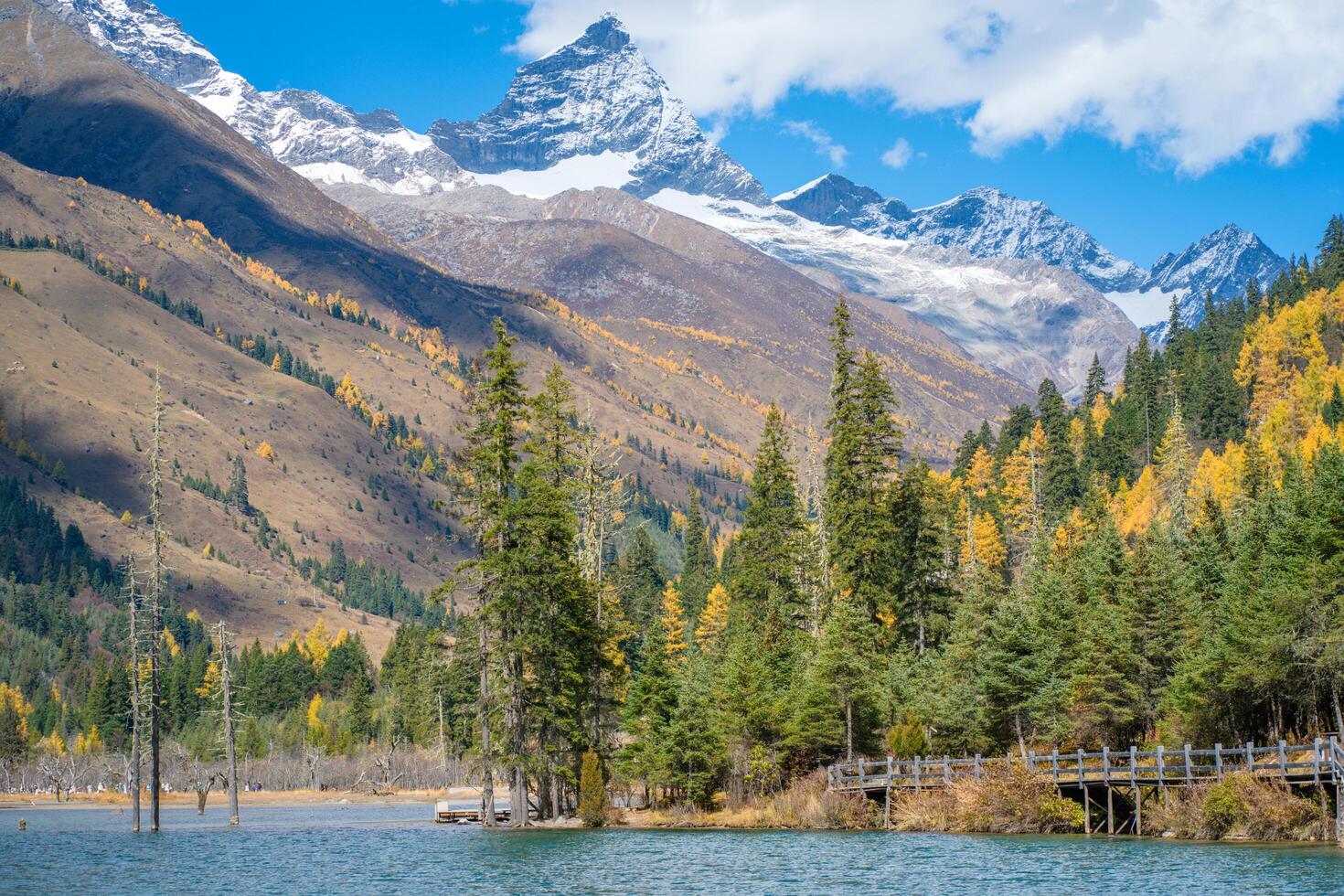 snow mountains,blue waters, seabuckthorn fir and sunshine of the outdoor natural landscape forest in sigucuo scenic spot of Siguniang mountain in Aba Prefecture, Sichuan photo