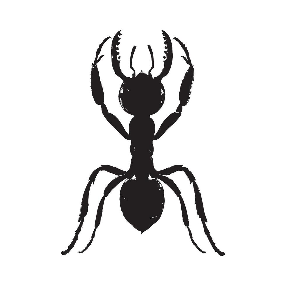 create a ant silhouette design vector