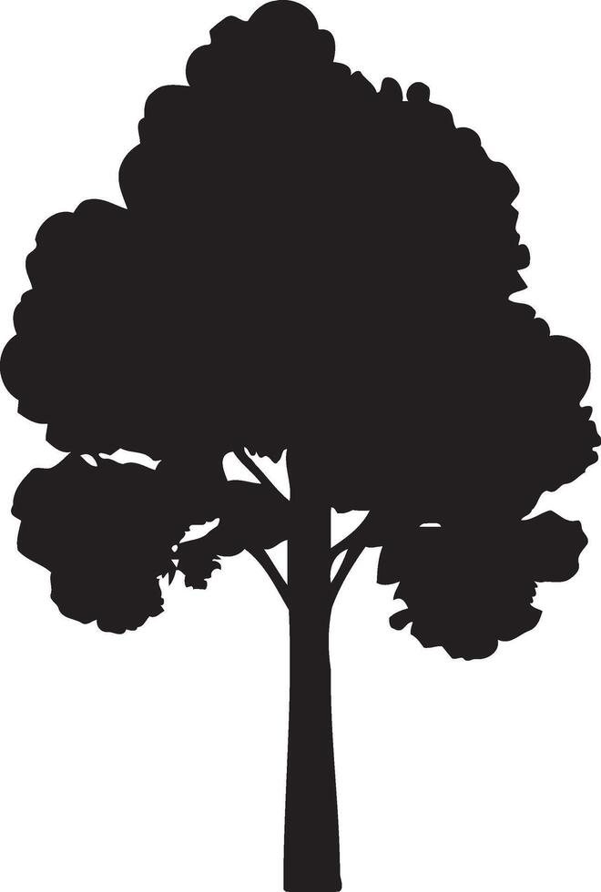 Silhouette pine tree Evergreen branch . Conifer tree on the white background Collection vector