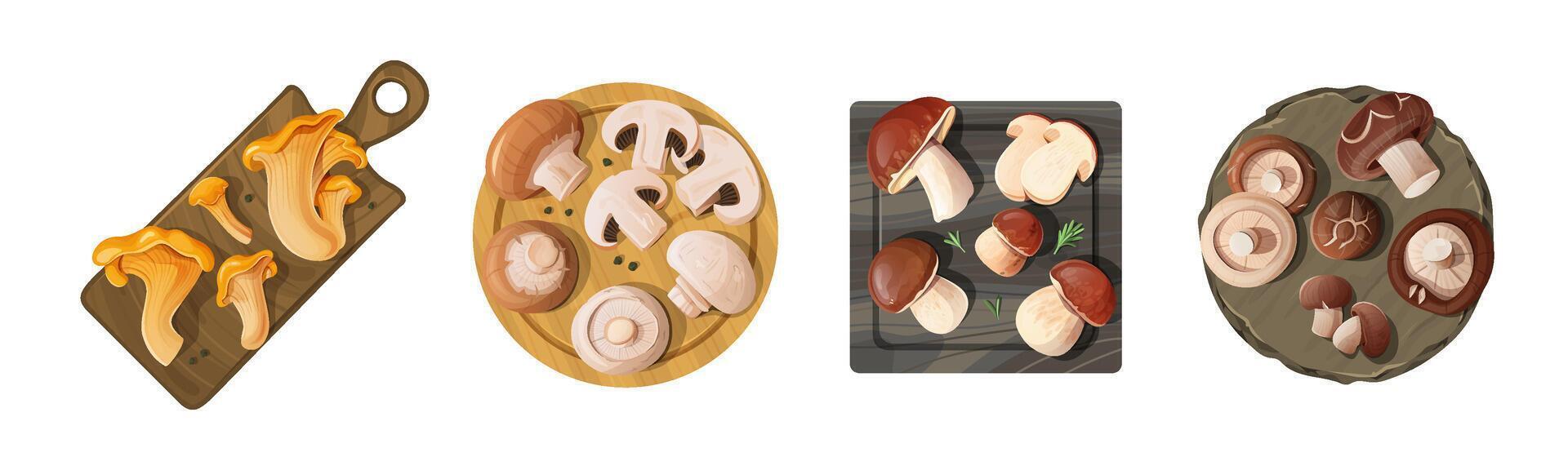 Assorted Mushrooms on Wooden and Stone Cutting Boards and Plates vector