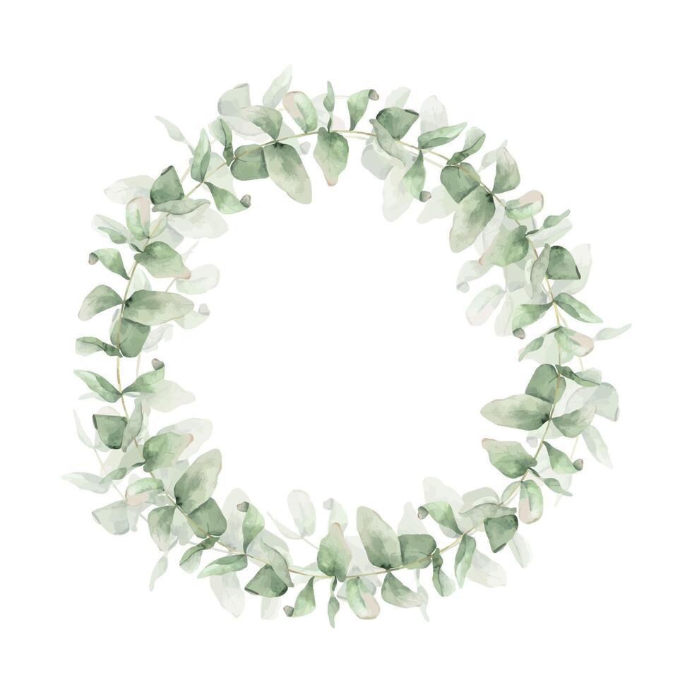Eucalyptus leaves and green branches. Wreath of eucalyptus greenery. Hand drawn isolated watercolor round frame. Floral design for wedding invitations, cards and stationery. vector