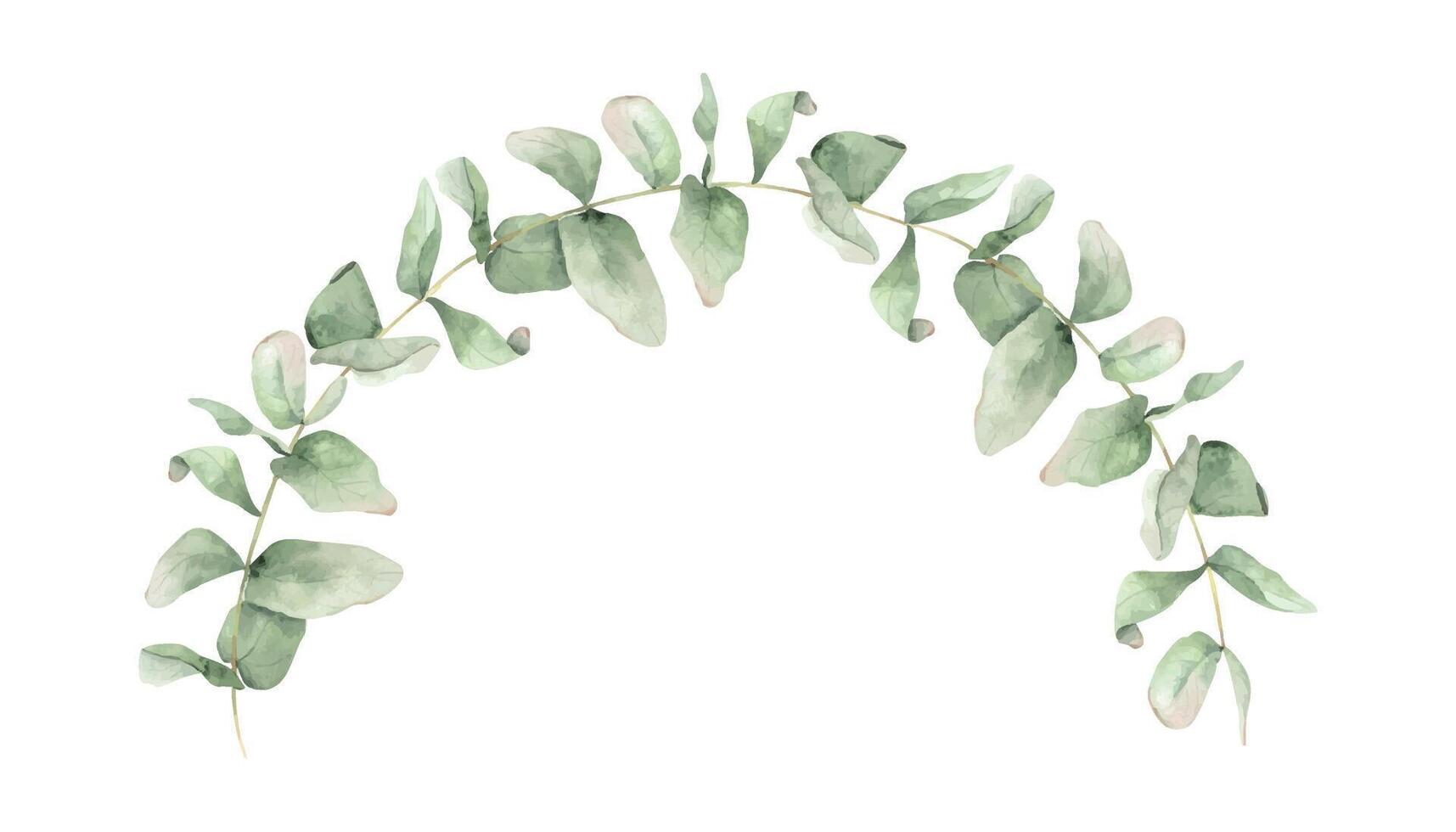 Eucalyptus leaves and green branches. Wreath of eucalyptus greenery. Hand drawn isolated watercolor round frame. Floral garland for wedding invitations, cards and stationery. vector