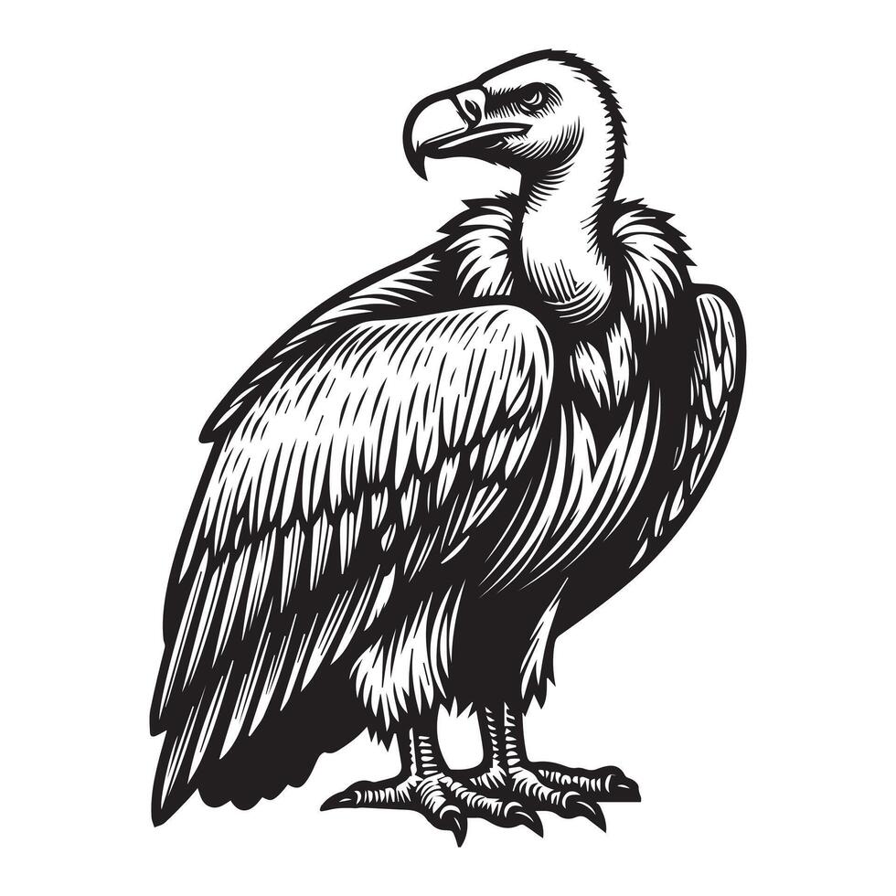 vulture outline art black color vector