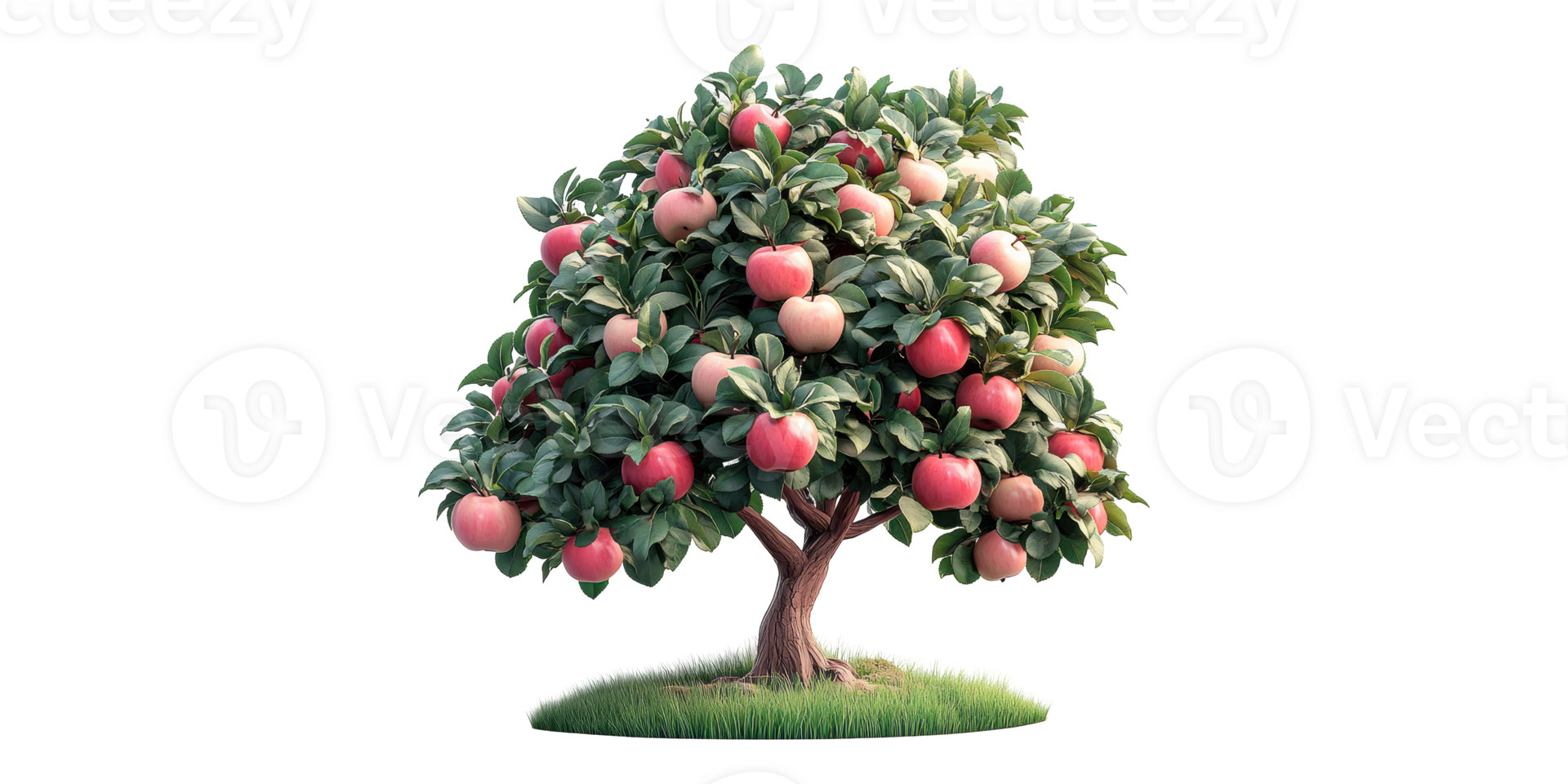 Apple Tree With Red Fruits Isolated On Transparent Background. Natural Design png