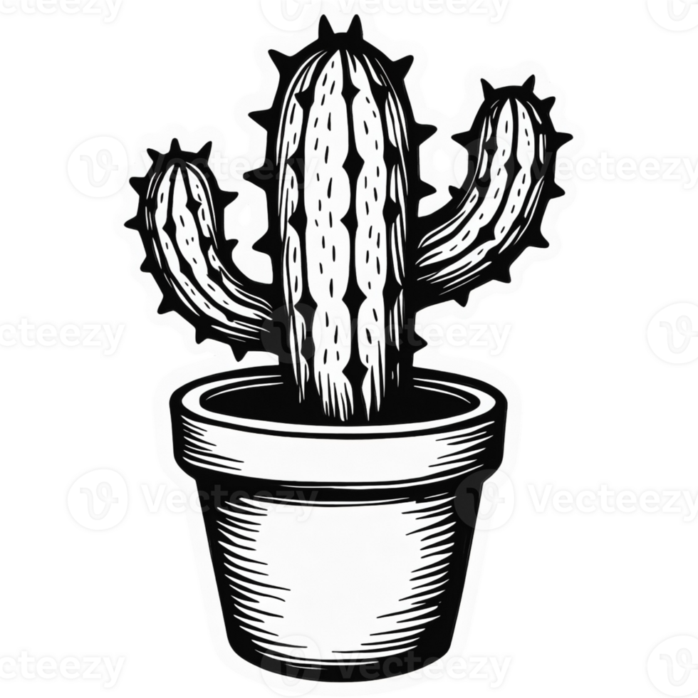 Cactus in a white pot png