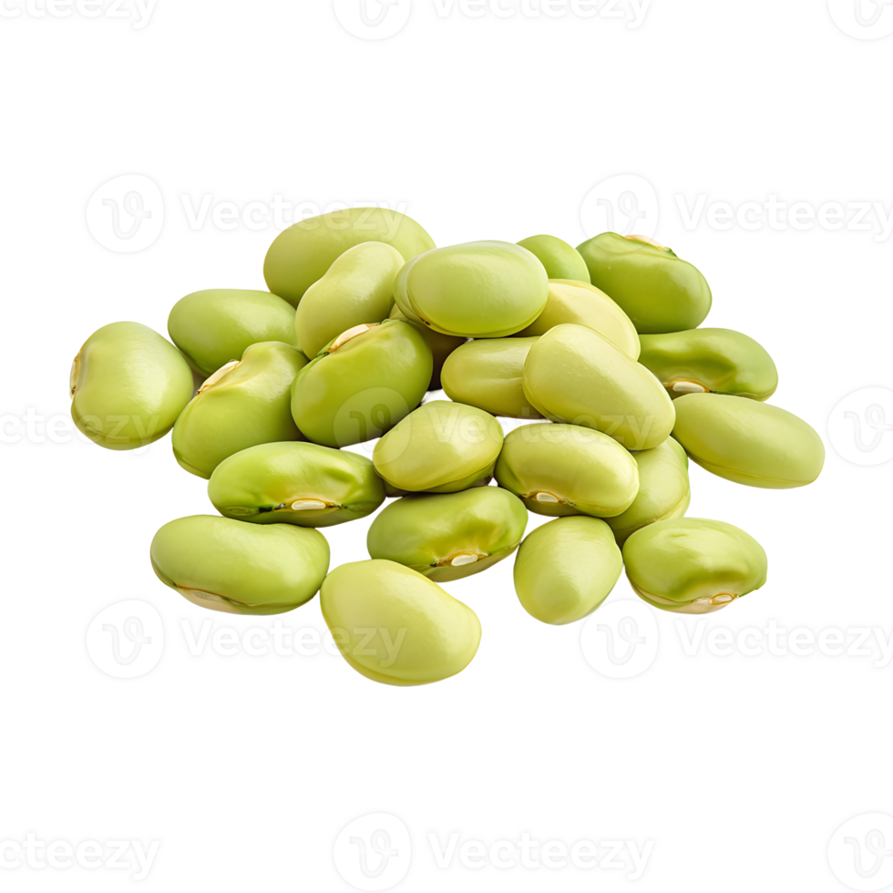 Fava Beans Isolated On Transparent Background png