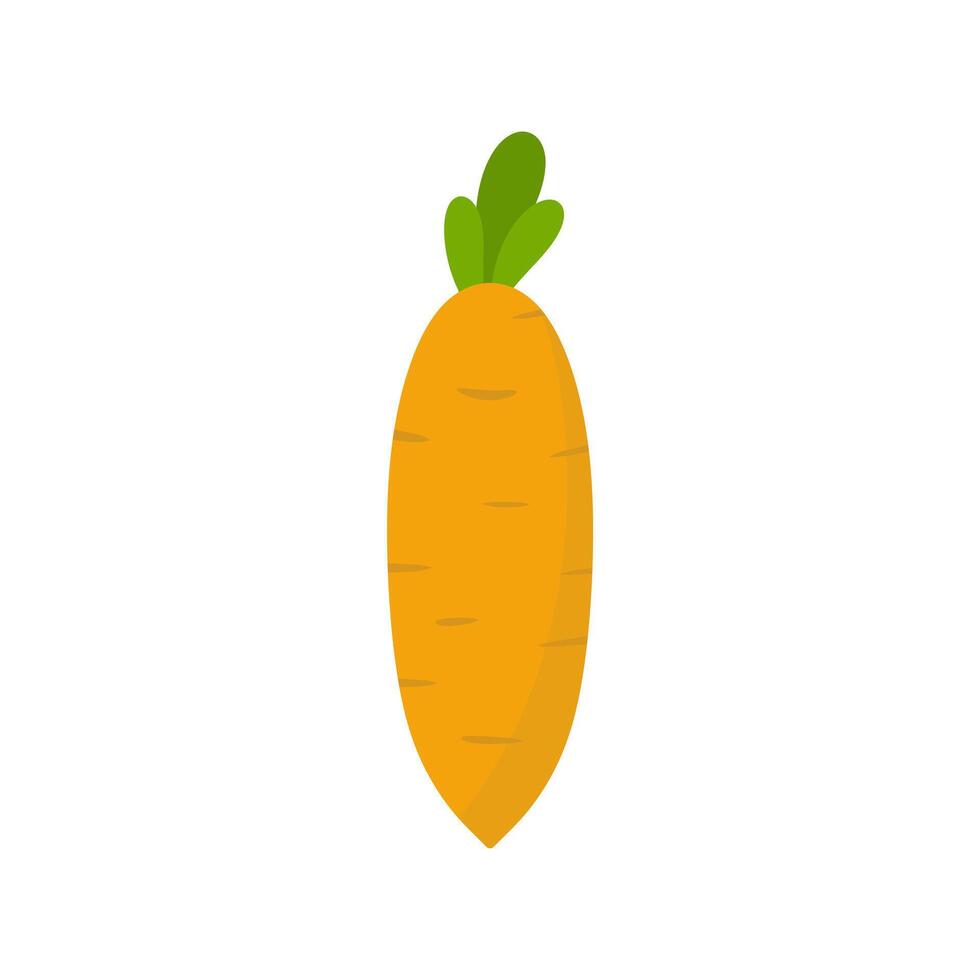 Crunchy carrot illustration vector