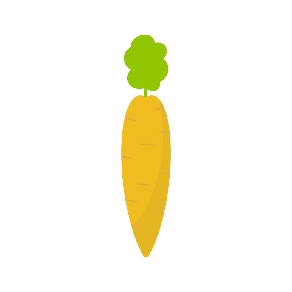 carrot vegetable illustration design vector