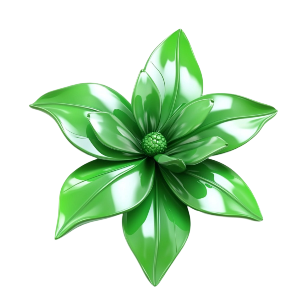 Tropical Succulent Herb png
