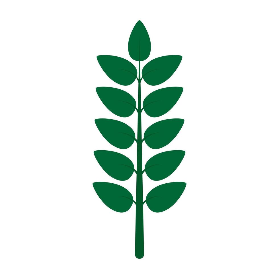 Simple green plant with symmetrical leaves on a white background. vector