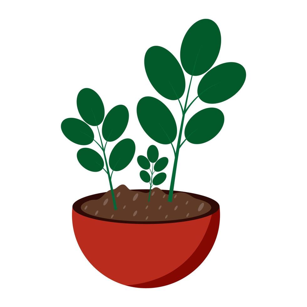 Minimalist illustration of potted plant with green leaves on white background. vector