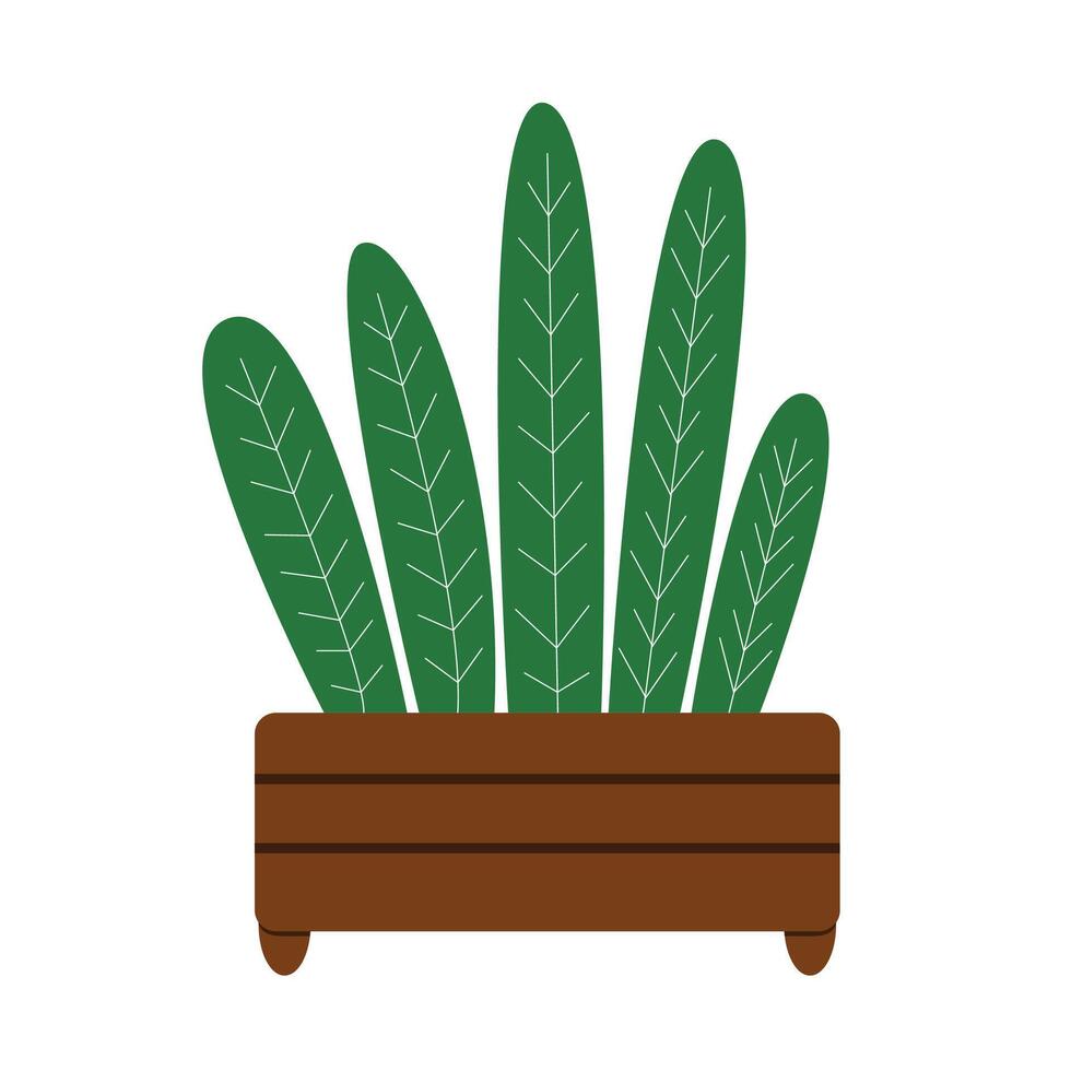 Potted plant with long green leaves in a wooden planter on a white background. vector