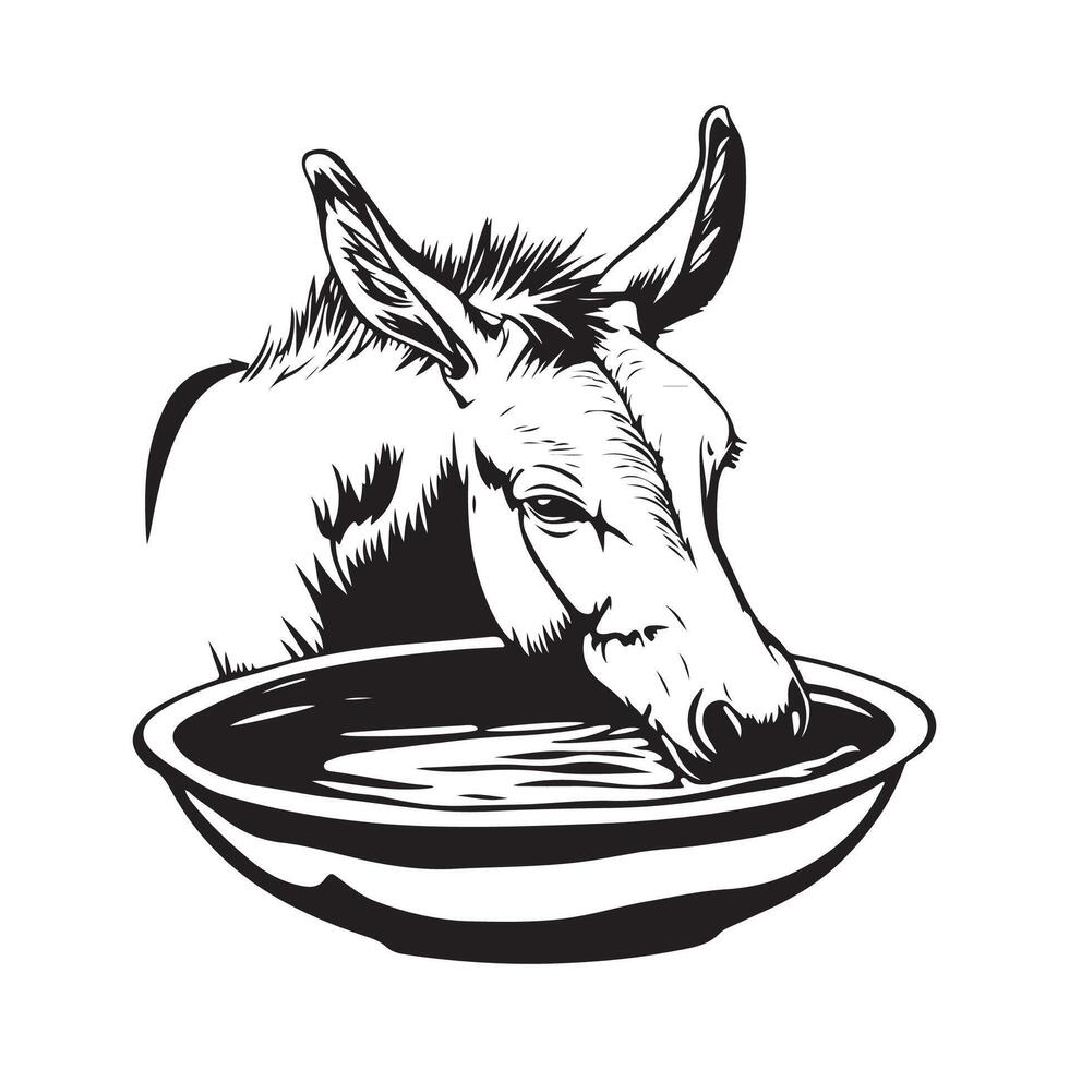 Animal Donkey Drinking Water stock image isolated on white background vector