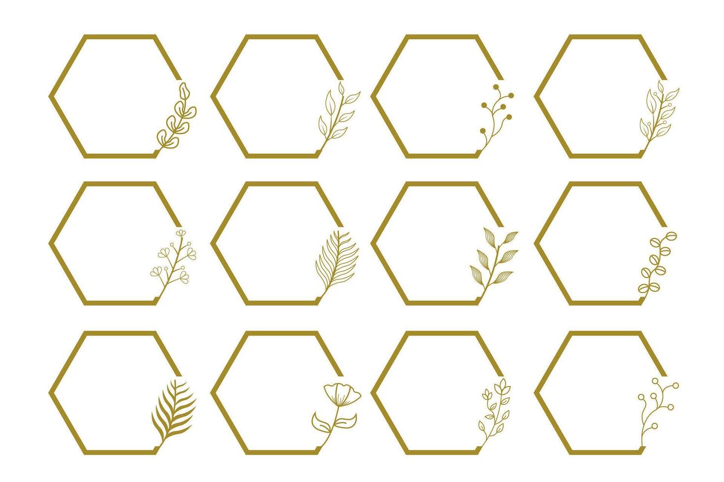 Gold hexagon frames with leaves and flowers vector