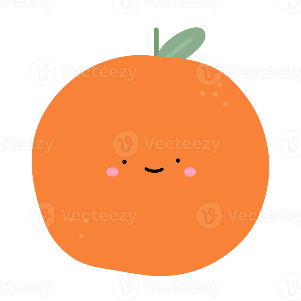 Cute Orange Mascot Character Kawaii Cartoon illustration Cute Fruit Orange Fruit png