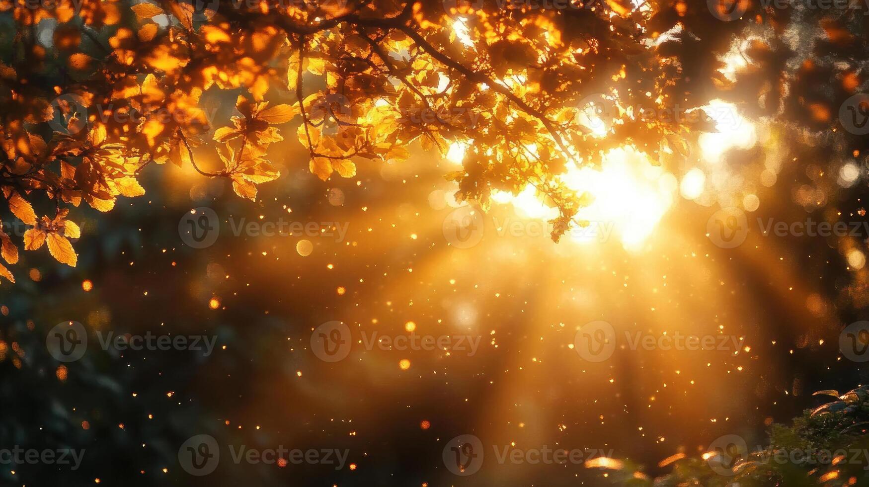 Golden sunlight filters through leaves, creating magical atmosphere filled with shimmering particles. warm glow evokes sense of tranquility and wonder photo