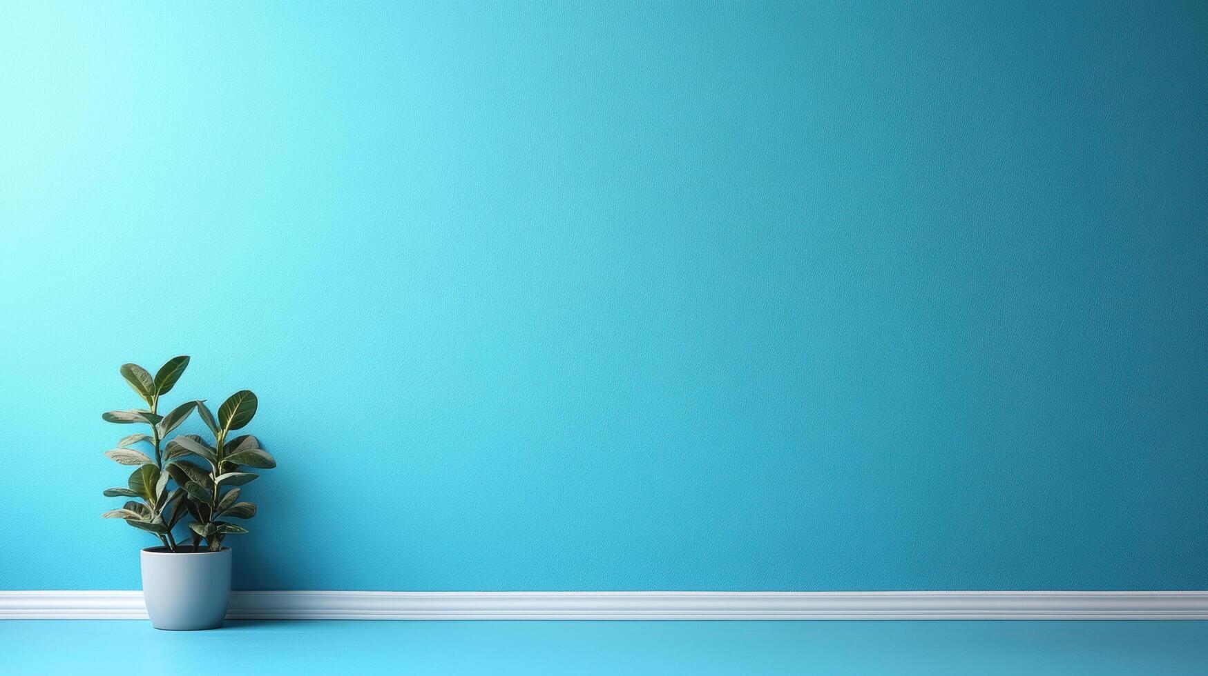 vibrant light blue wall serves as backdrop for stylish potted plant, creating fresh and modern atmosphere. This serene setting is perfect for interior design inspiration photo