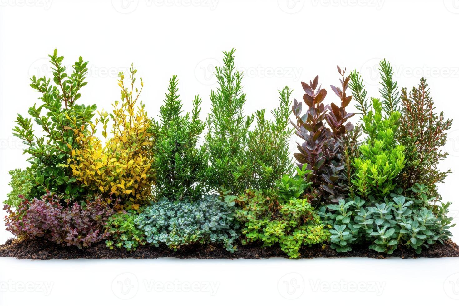 vibrant collection of various bushes showcasing lush greenery and colorful foliage, perfect for landscaping or garden design photo