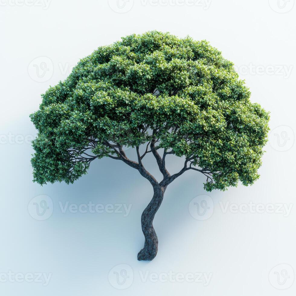 hyper realistic isometric view of lush green tree with textured trunk, showcasing vibrant foliage and intricate details. This captures beauty of nature photo