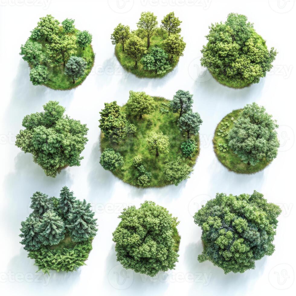 Stylized bird eye view of various trees on white background, showcasing diverse shapes and shades of green, creating vibrant and serene natural scene photo