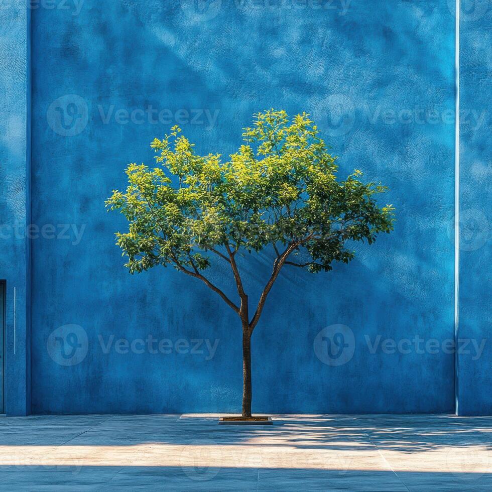vibrant tree stands against smooth blue wall, casting shadows on ground. contrast of green leaves and blue background creates serene atmosphere photo