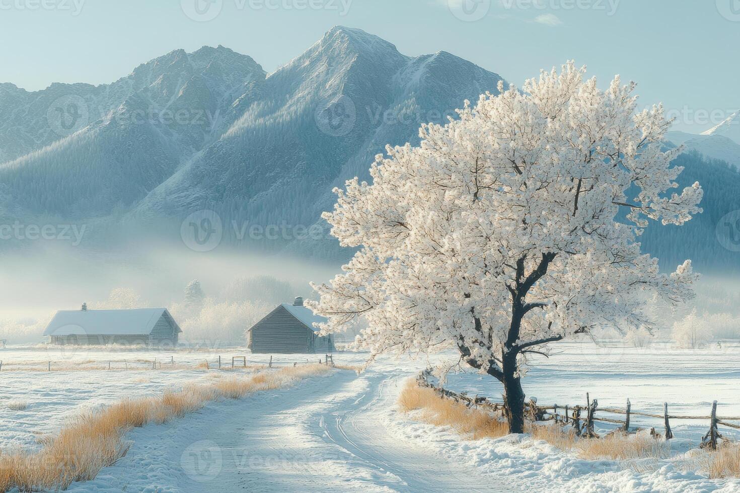 serene winter landscape featuring frosted tree, snow covered fields, and distant mountains. tranquil scene evokes sense of peace and beauty in nature photo