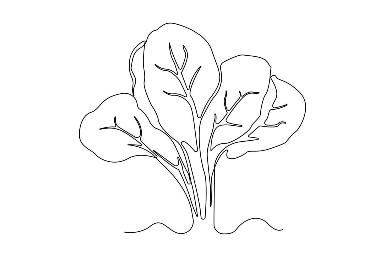 Hand-drawn spinach continuous outline . Spinach plant one line art drawing. vector
