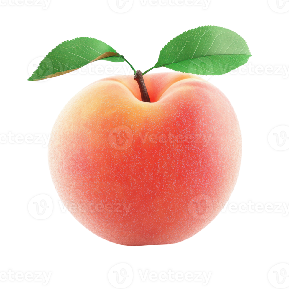 Isolated 3D Peach Fruit Icon for Graphic Design and Illustration Use png