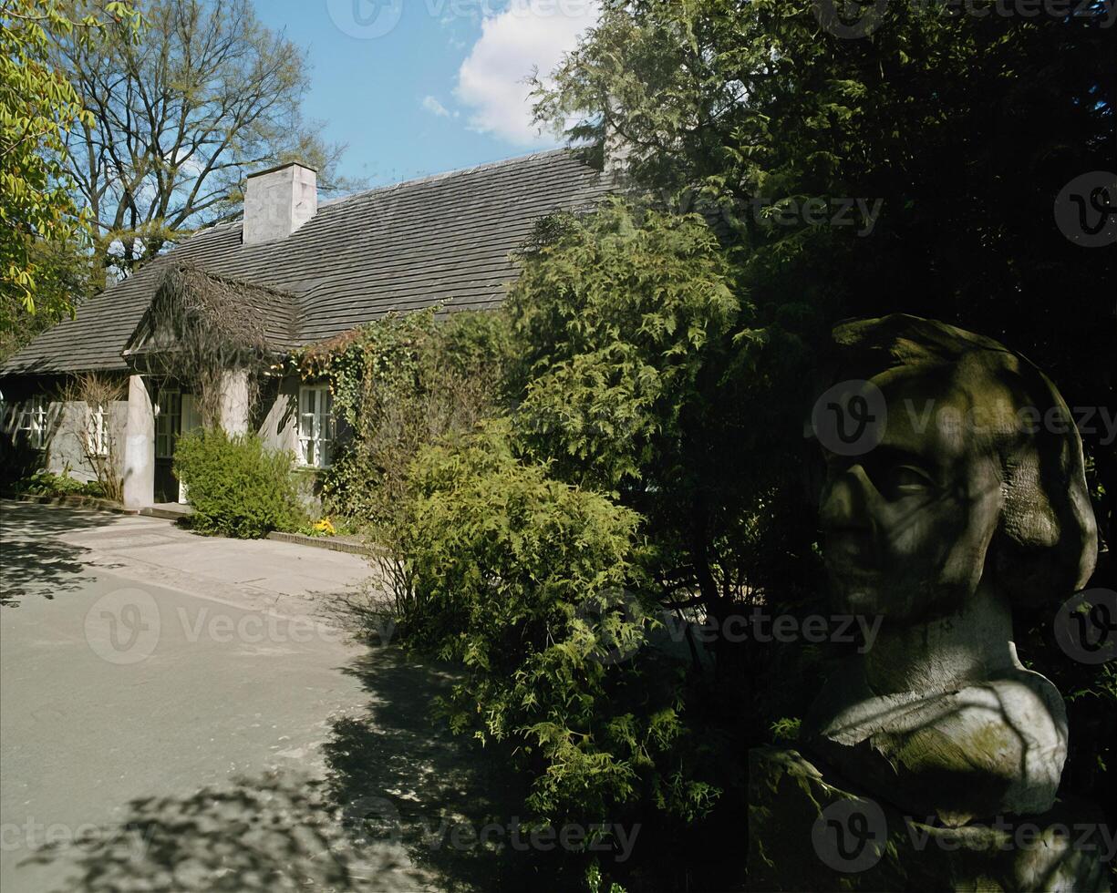 Serene Landscape with a Thatched House, Tree, and Cloudy Sky photo