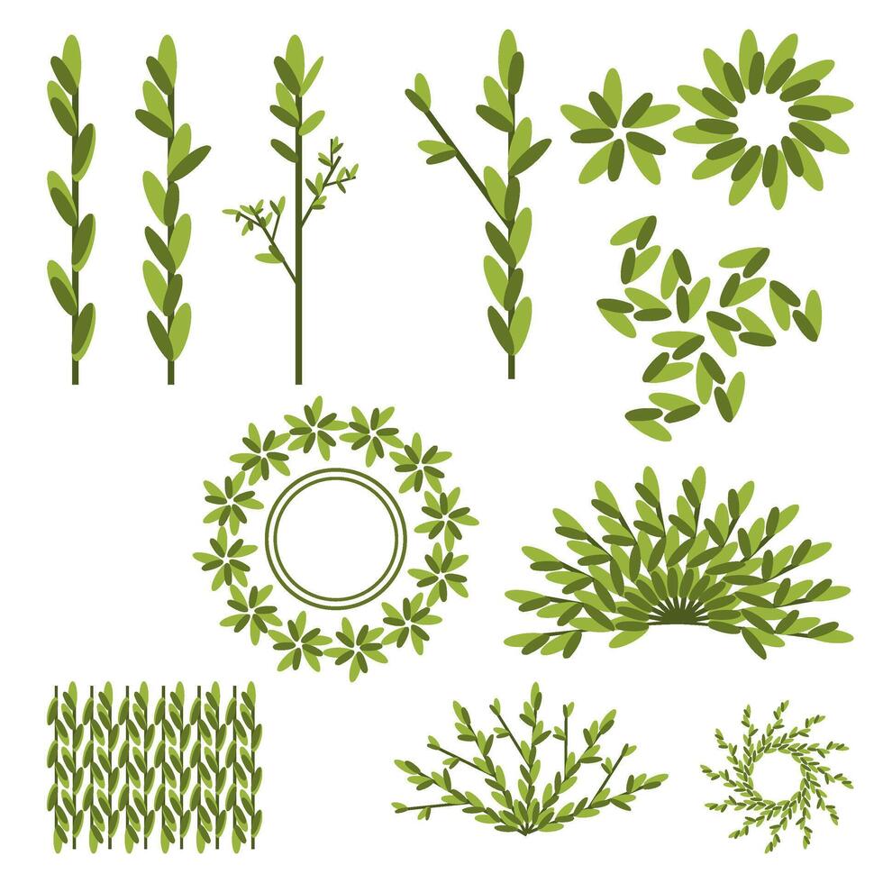 various green plants and leaves vector