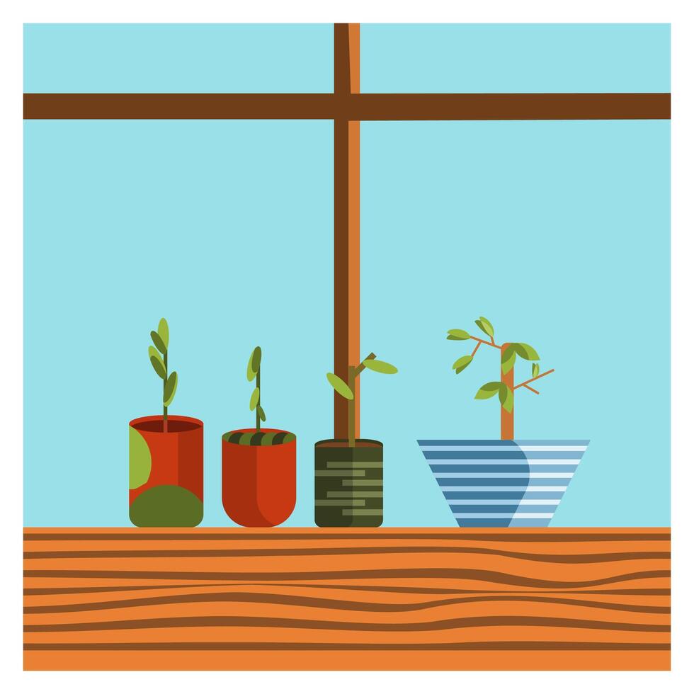 illustration of a window with plants in pots vector