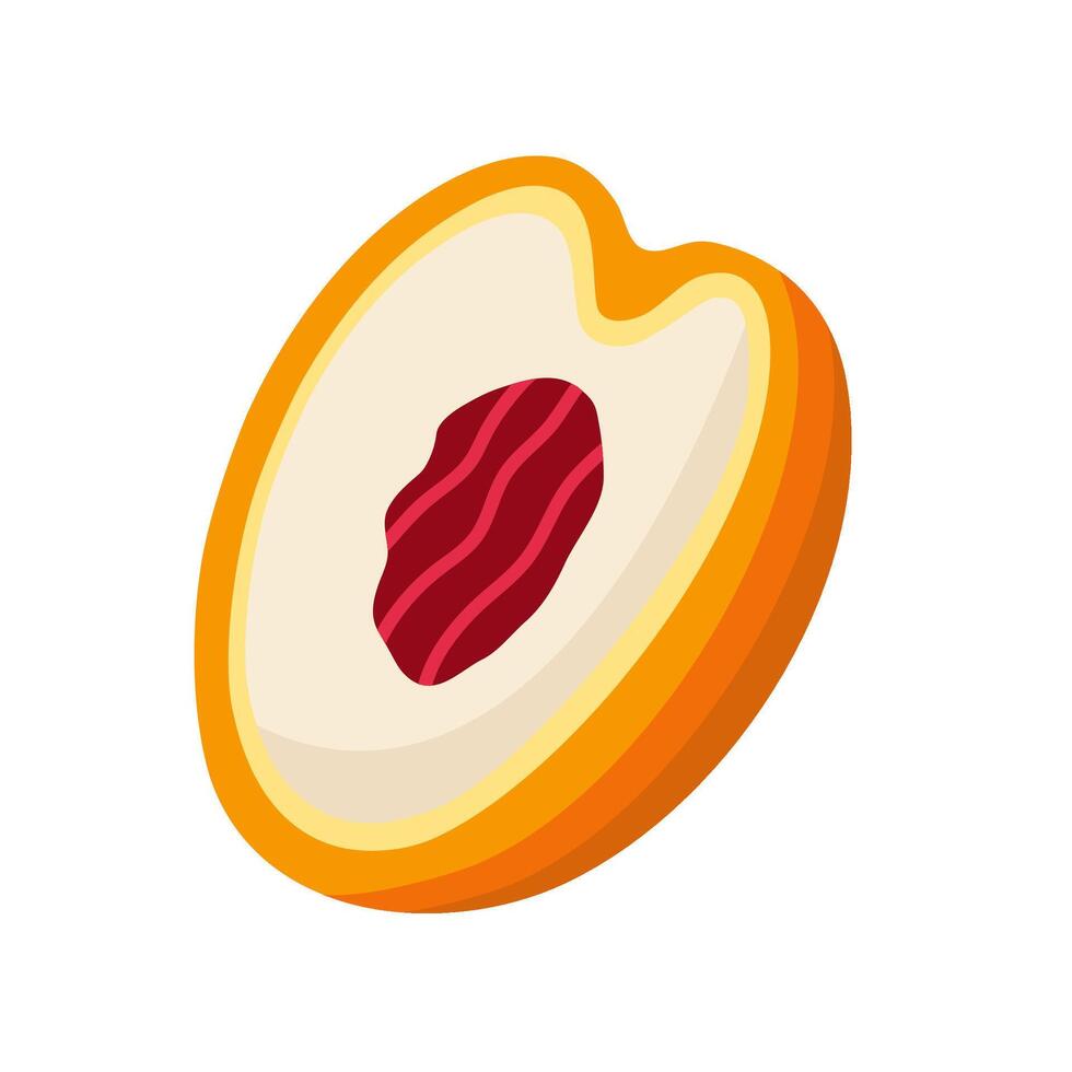 Flat Illustration Of Salak Fruit vector