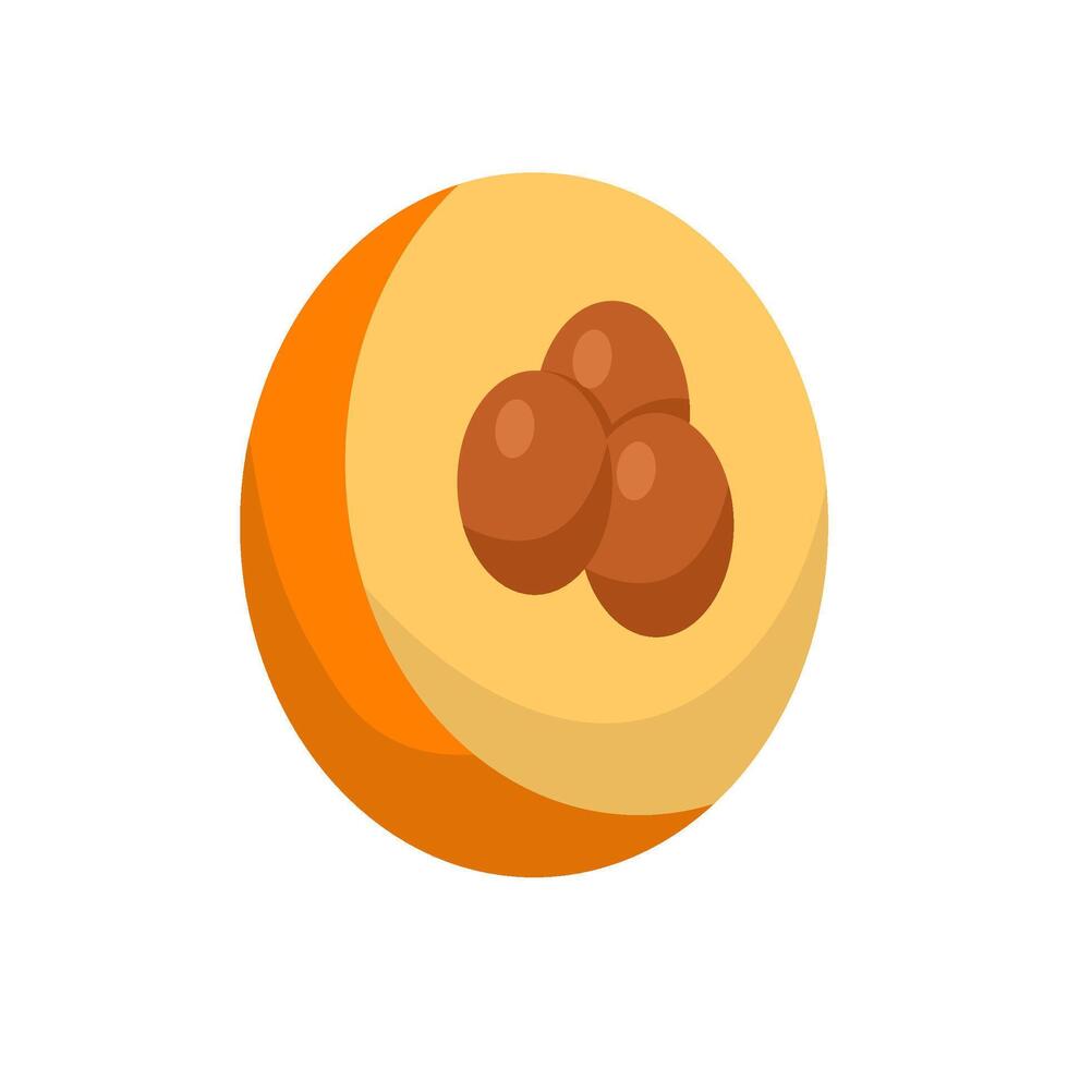 Flat Illustration Of Loquat Fruit vector