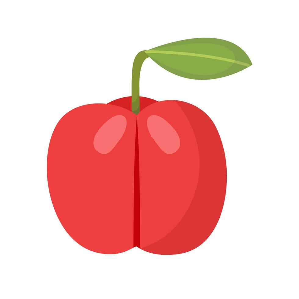 Flat Illustration Of Acerola Fruit vector