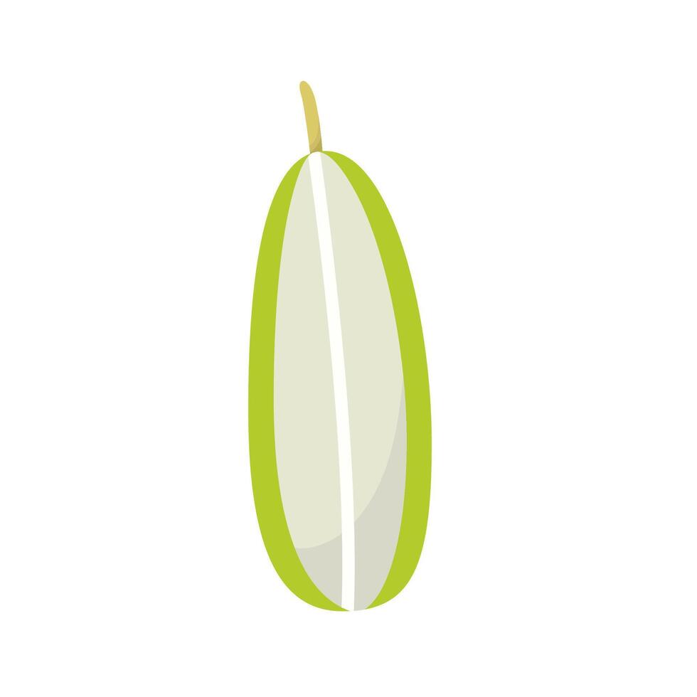 Flat Illustration Of Bilimbi Fruit vector