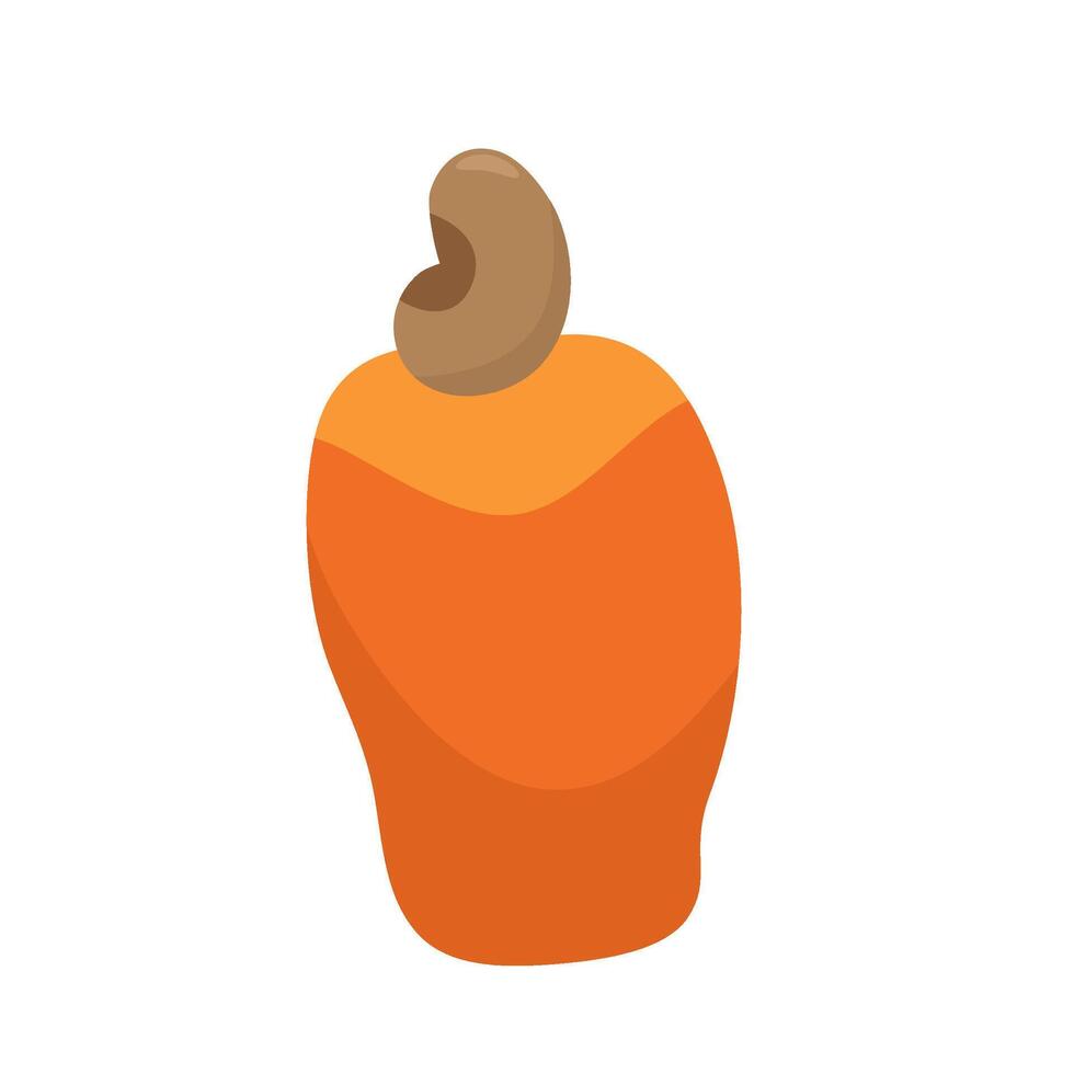 Flat Illustration Of Cashew Fruit vector