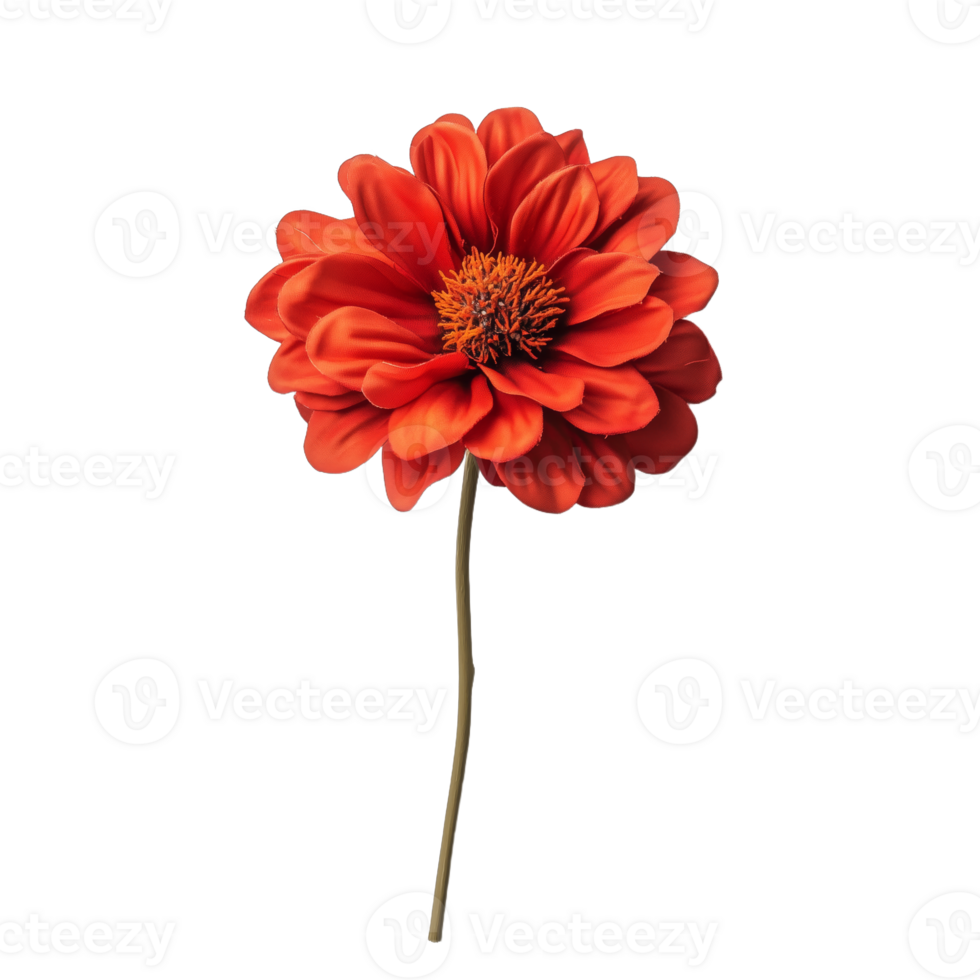 Captivating Vibrant Orange Flower with Elegant Petals png