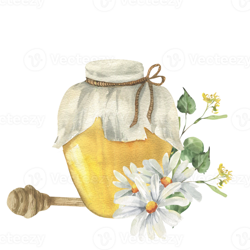 Honey glass jar with wooden dipper and field flowers of chamomile,linden branches watercolor composition.Hand drawn eco food label template,organic sweet snack for brunch invitation,poster design png